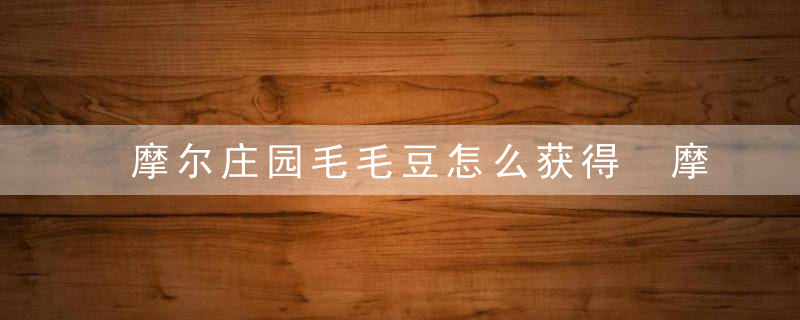 摩尔庄园毛毛豆怎么获得 摩尔庄园毛毛豆如何获得